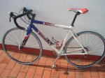 Copia (2) de TCR y otras 008.jpg