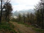 IMG_0037.jpg