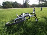 bici pepi.jpg