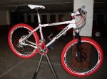 Blanca-Roja.jpg