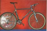 tomac3.jpg