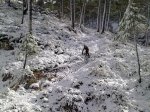 25122010065.JPG