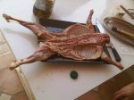 IMG00002-20110106-1430.jpg
