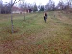 resized_12012011552.jpg