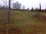 resized_12012011549.jpg