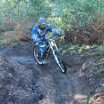 DSC_0435.jpg