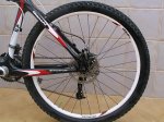 bianchi 002.jpg