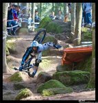 1casco4.jpg