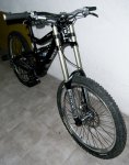 RIMG0339a.jpg