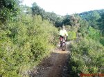 DSC06136.JPG
