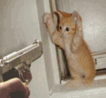 manosArriba[1].gif