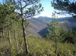 P1150012 (Copiar).JPG
