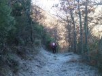P1150021 (Copiar).JPG