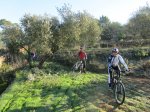 bici00018.jpg