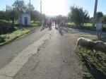 bici00008.jpg