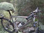 bici00029.jpg