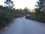 CIMG8181.jpg