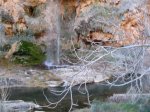 IMG_4252.JPG
