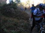 IMG_4238.JPG