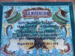 IMGP0421.JPG