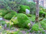 Foto16.JPG