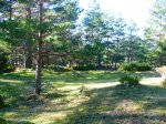 Foto13.JPG