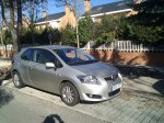 Auris (1).jpg