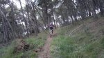 yosendero (Medium).jpg
