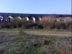 DSC00650.jpg