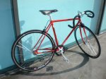 pepinillo rojo 3.JPG