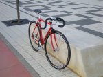 pepinillo rojo 2.JPG