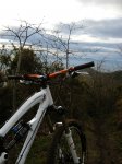 2011-01-16 017.jpg