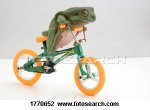 rana-bicicleta_~1770652.jpg