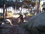 DSCF3071.JPG