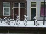 BicisNieve.jpg