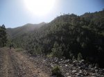DSCN0008.jpg