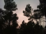 DSC_0186.jpg