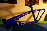 DSC04771.jpg