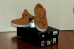 zapasdc.JPG