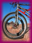 NINER 052.jpg