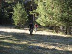 IMG_6461.JPG
