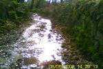 bscap0006.jpg