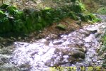 bscap0002.jpg