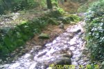 bscap0003.jpg