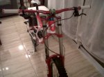 IMG00165-20110119-0005.jpg
