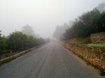 16012011604.jpg