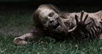 Walking-Dead-1.jpg