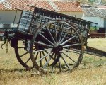 carro.jpg