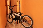 CLETA CON PENE NEGRO CON OJOS I COLA.jpg