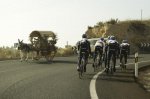 garmin_cervelo_calpe_2011_338_600.jpg